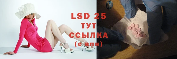 PSILOCYBIN Баксан