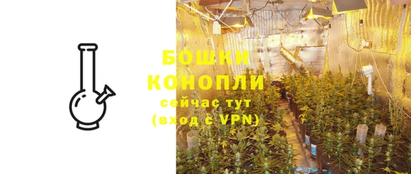 PSILOCYBIN Баксан